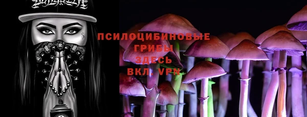ECSTASY Заводоуковск