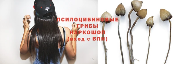 амф Заволжье