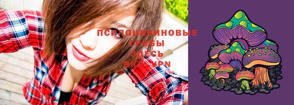 амф Заволжье