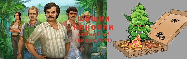 амф Заволжье