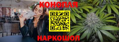 сатива Коммунар