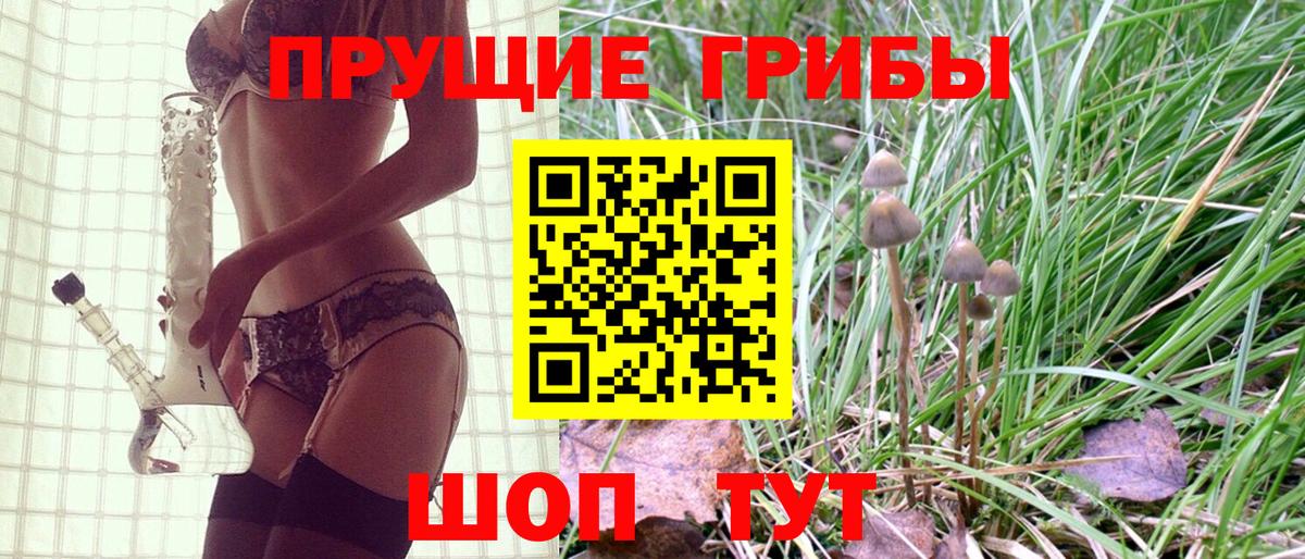 Галлюциногенные грибы мицелий Добрянка