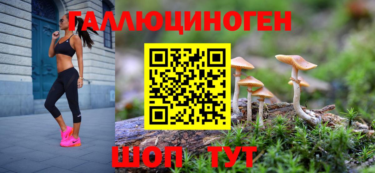 Добрянка  Галлюциногенные грибы MAGIC MUSHROOMS  Вход с VPN 