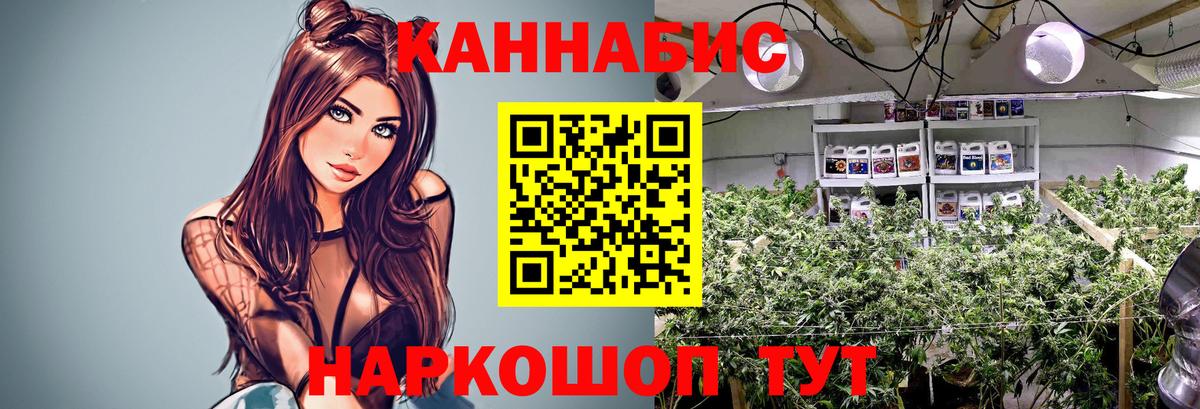 Каннабис White Widow Добрянка